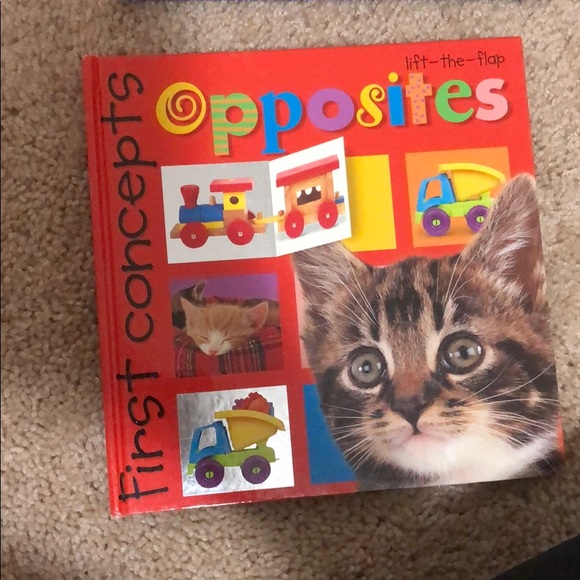 Lift and flap books - Picture 3 of 3